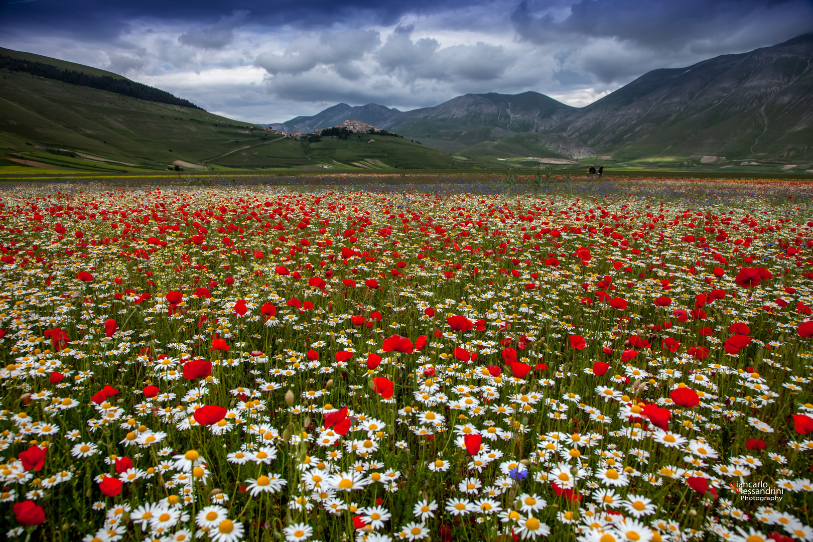 Castelluccio di Norcia estate