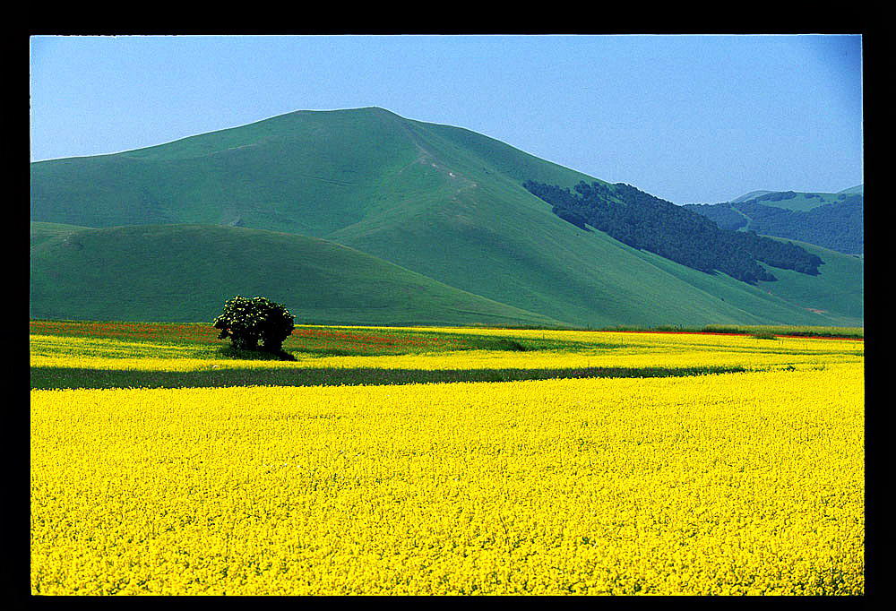 Castelluccio di Norcia