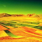 Castelluccio di Norcia - Infrared 1