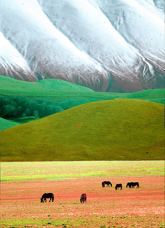 Castelluccio di Norcia - Infrared 2