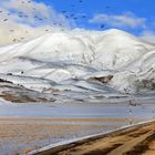 Castelluccio di Norcia--Inverno