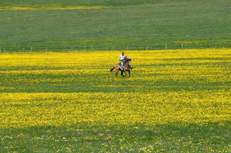 Castelluccio di Norcia, L'uomo e la natura