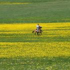 Castelluccio di Norcia, L'uomo e la natura