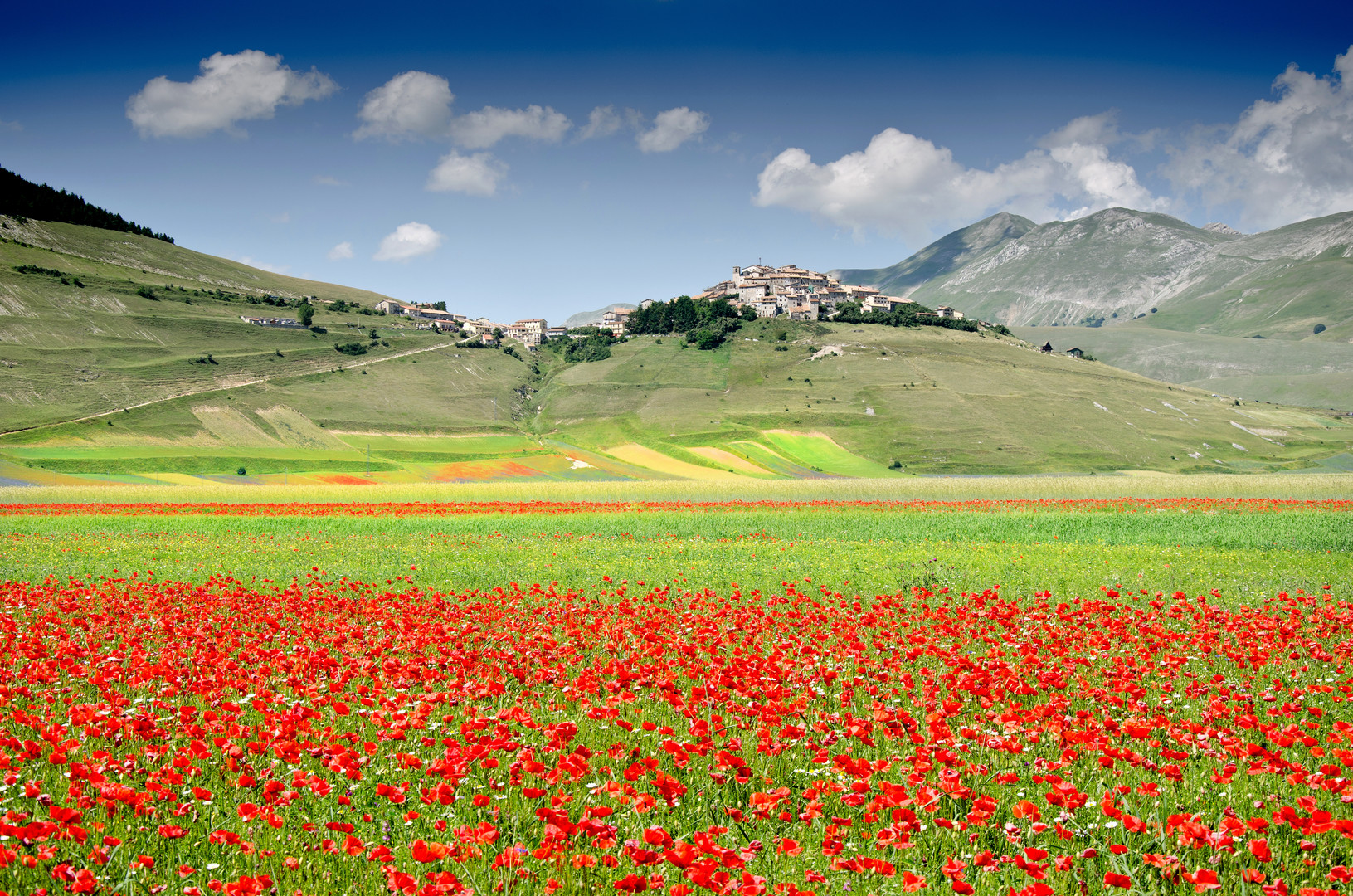 Castelluccio