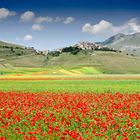 Castelluccio