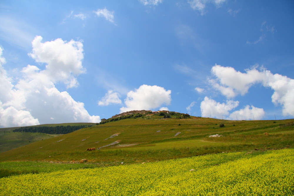 Castelluccio