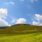 Castelluccio