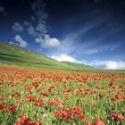 Castelluccio...