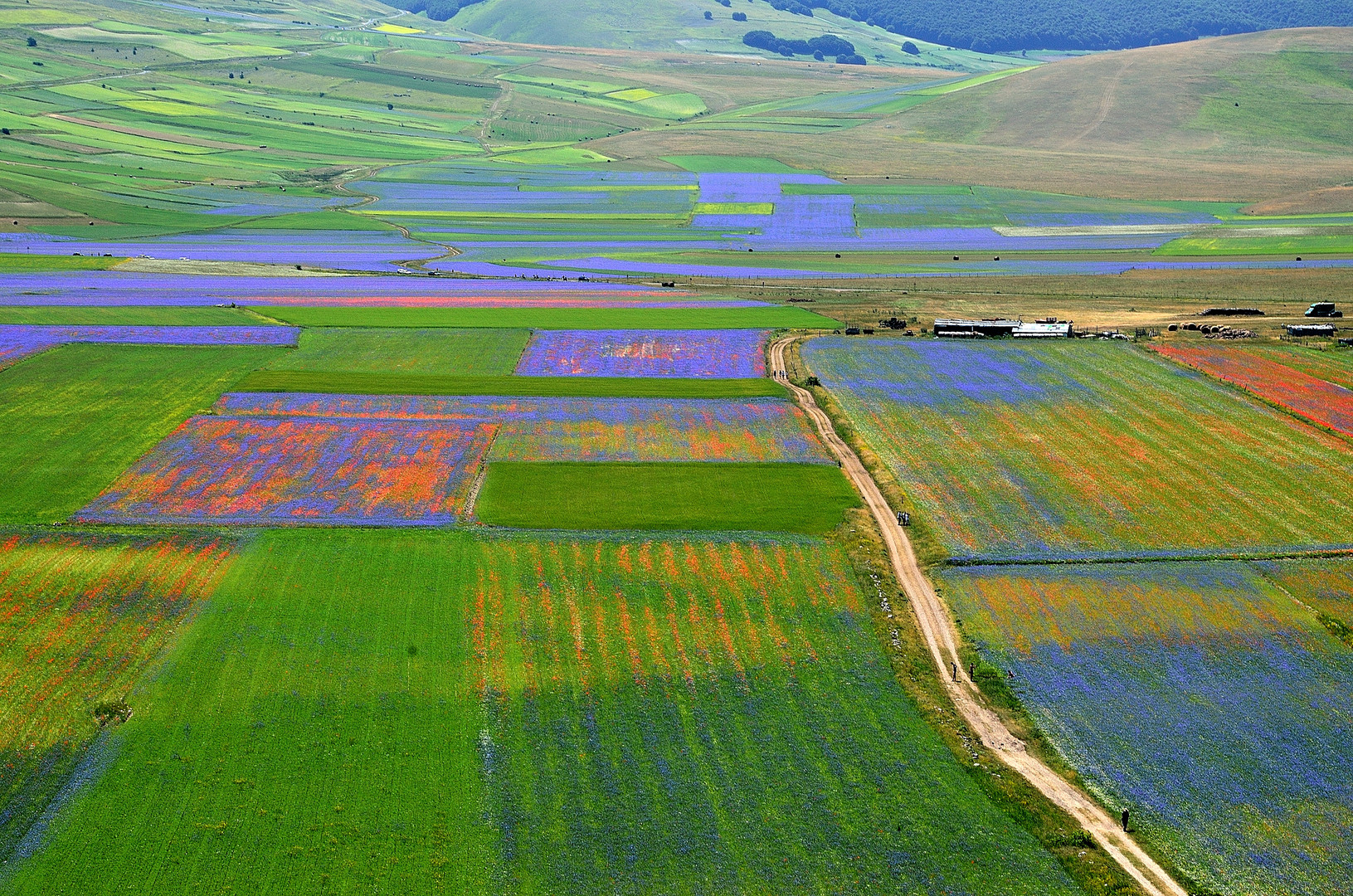 Castelluccio