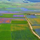 Castelluccio