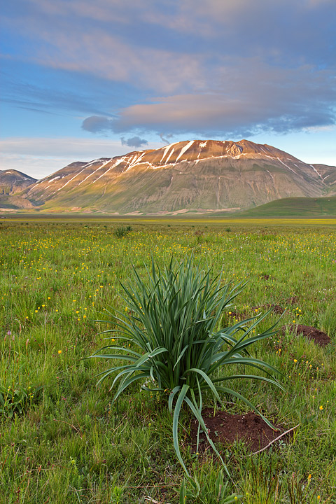 Castelluccio