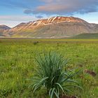 Castelluccio