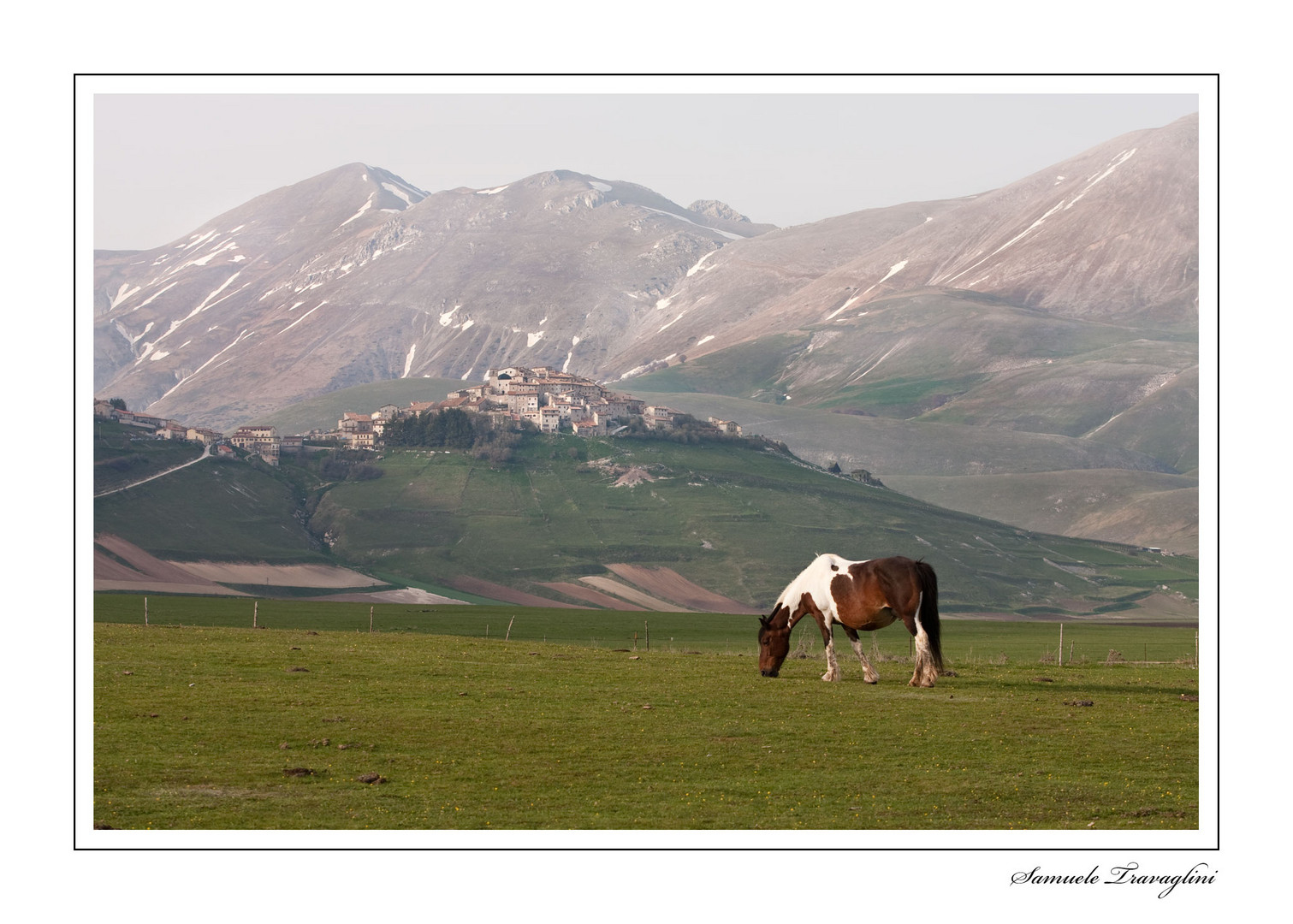 Castelluccio il primo Maggio 2010