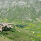 Castelluccio Juni 2011