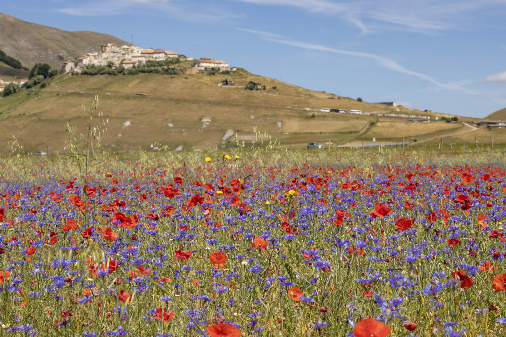 Castelluccio: la fioritura e il paese