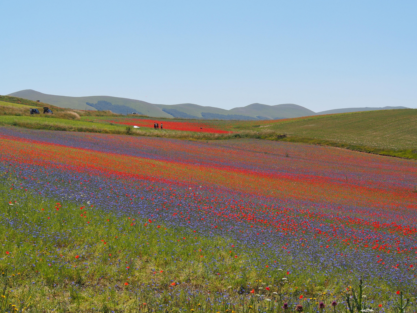 Castelluccio Motiv