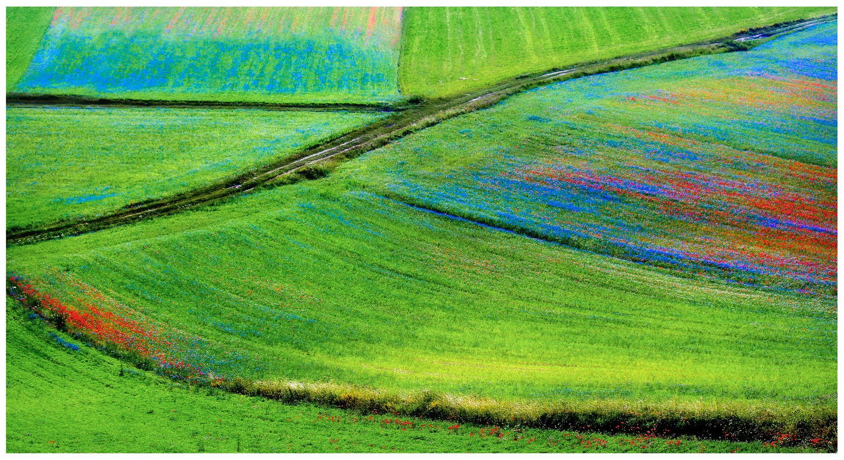 Castelluccio - n.05