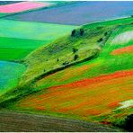 Castelluccio - n.06