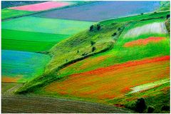 Castelluccio - n.06