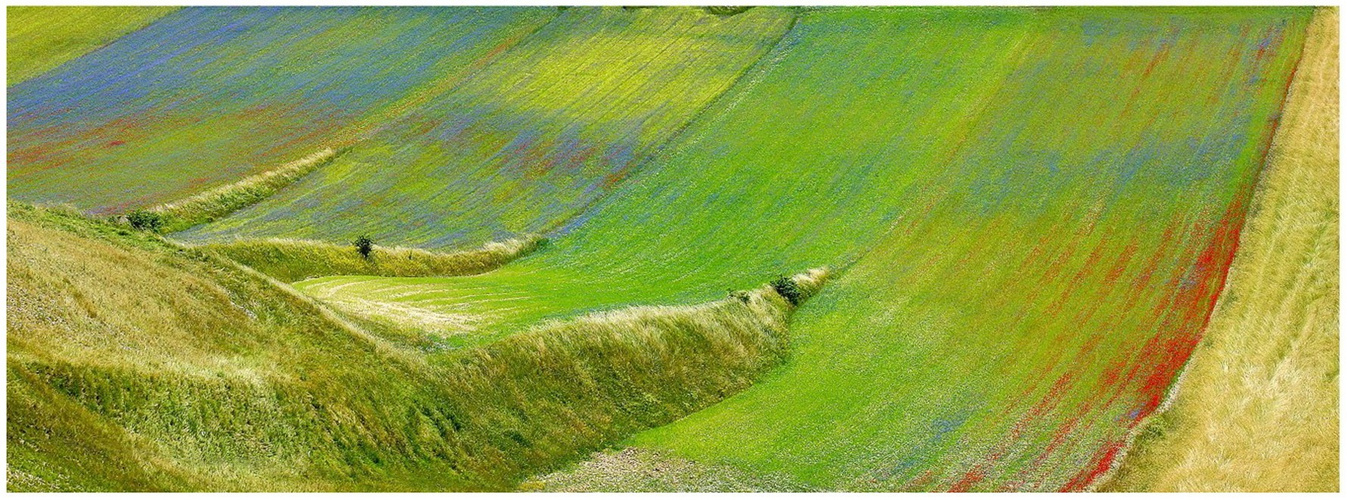 Castelluccio - n.08