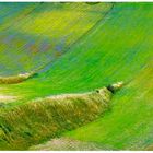 Castelluccio - n.08