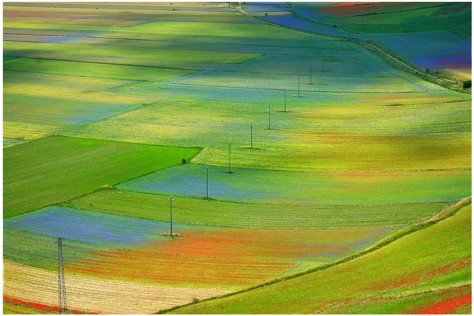 Castelluccio - n.10