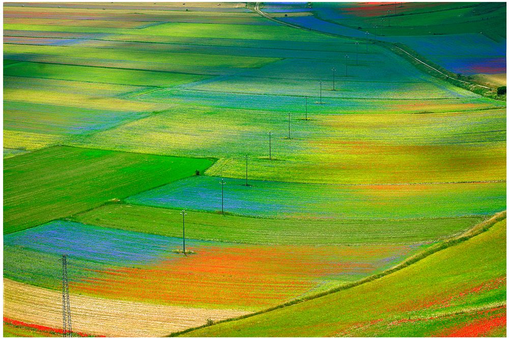 Castelluccio - n.10