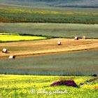 Castelluccio pittorica