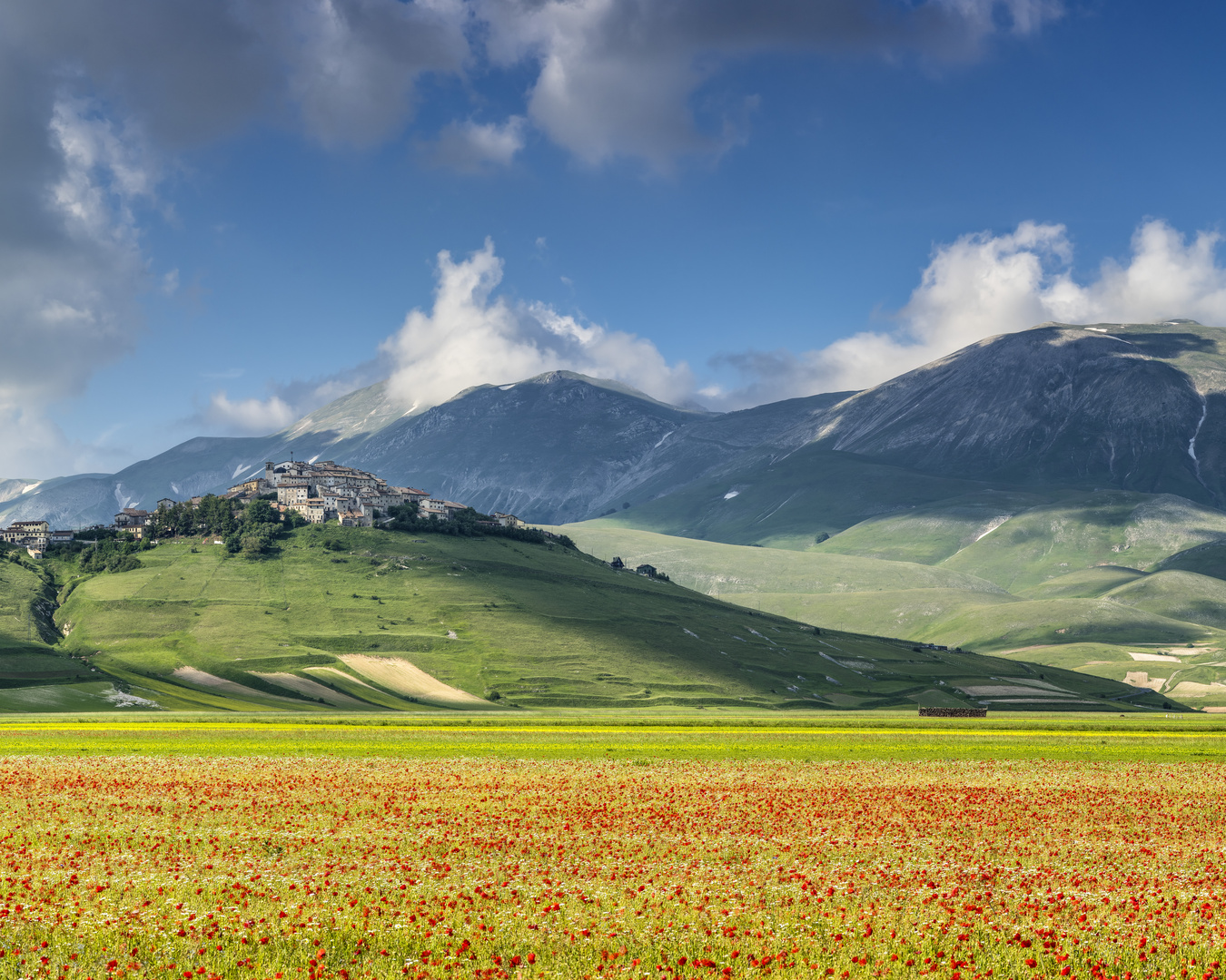 Castelluccio über Feldern voll mit Mohn- und Linsenblüten  #1