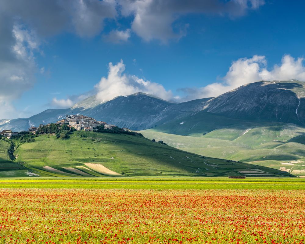 Castelluccio über Feldern voll mit Mohn- und Linsenblüten  #1