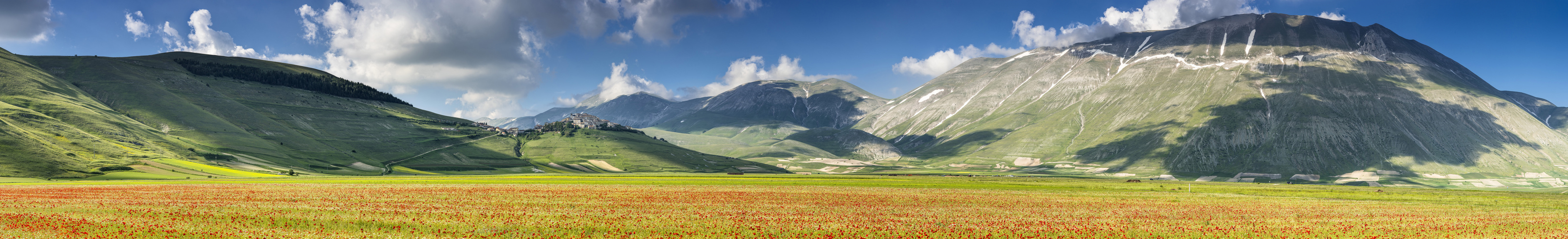 Castelluccio über Feldern voll mit Mohn- und Linsenblüten n #2