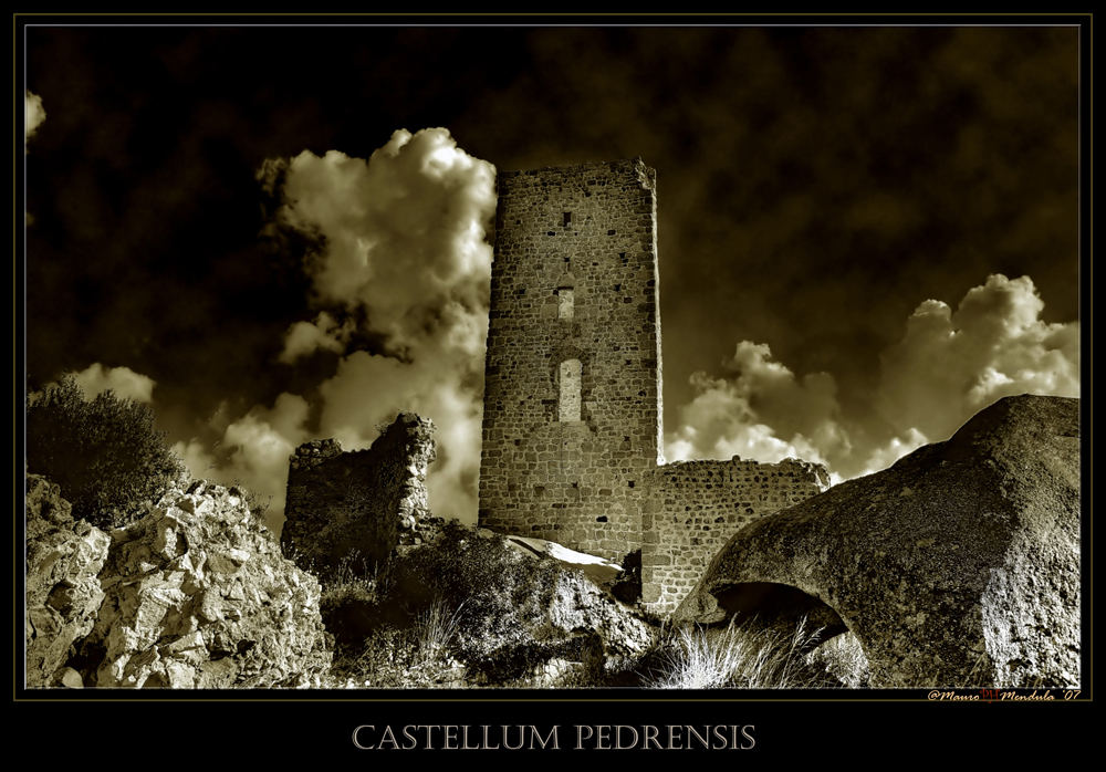 *Castellum Pedrensis*