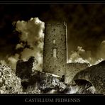 *Castellum Pedrensis*