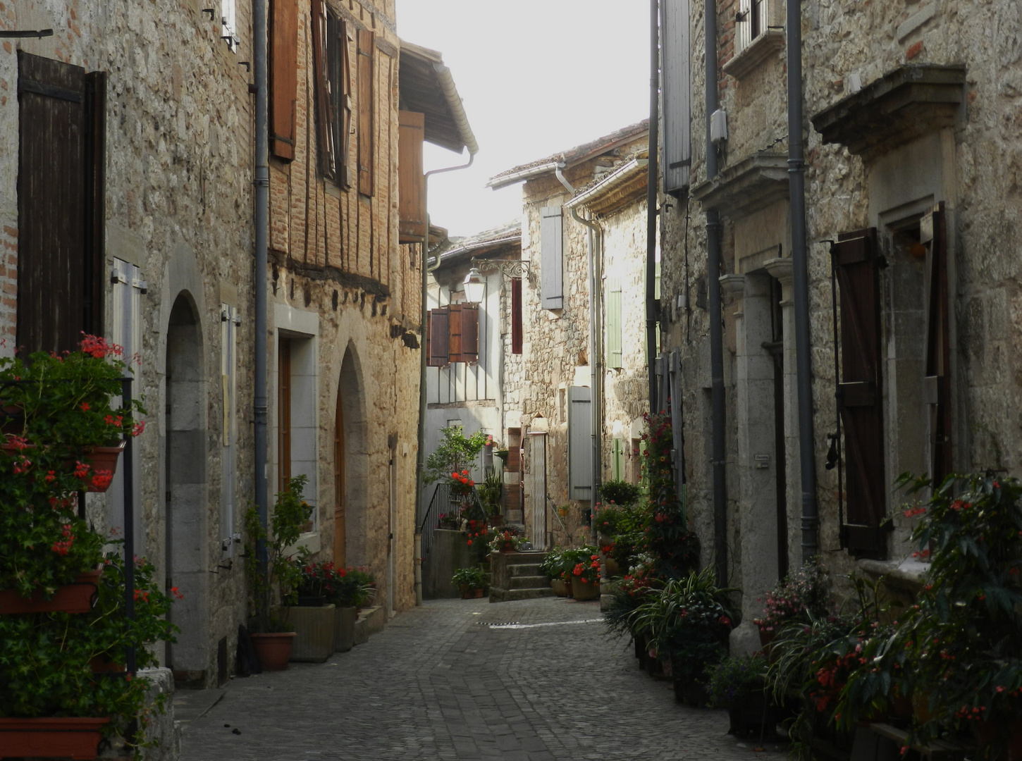 castelnau de montmiral dans le Tarn !