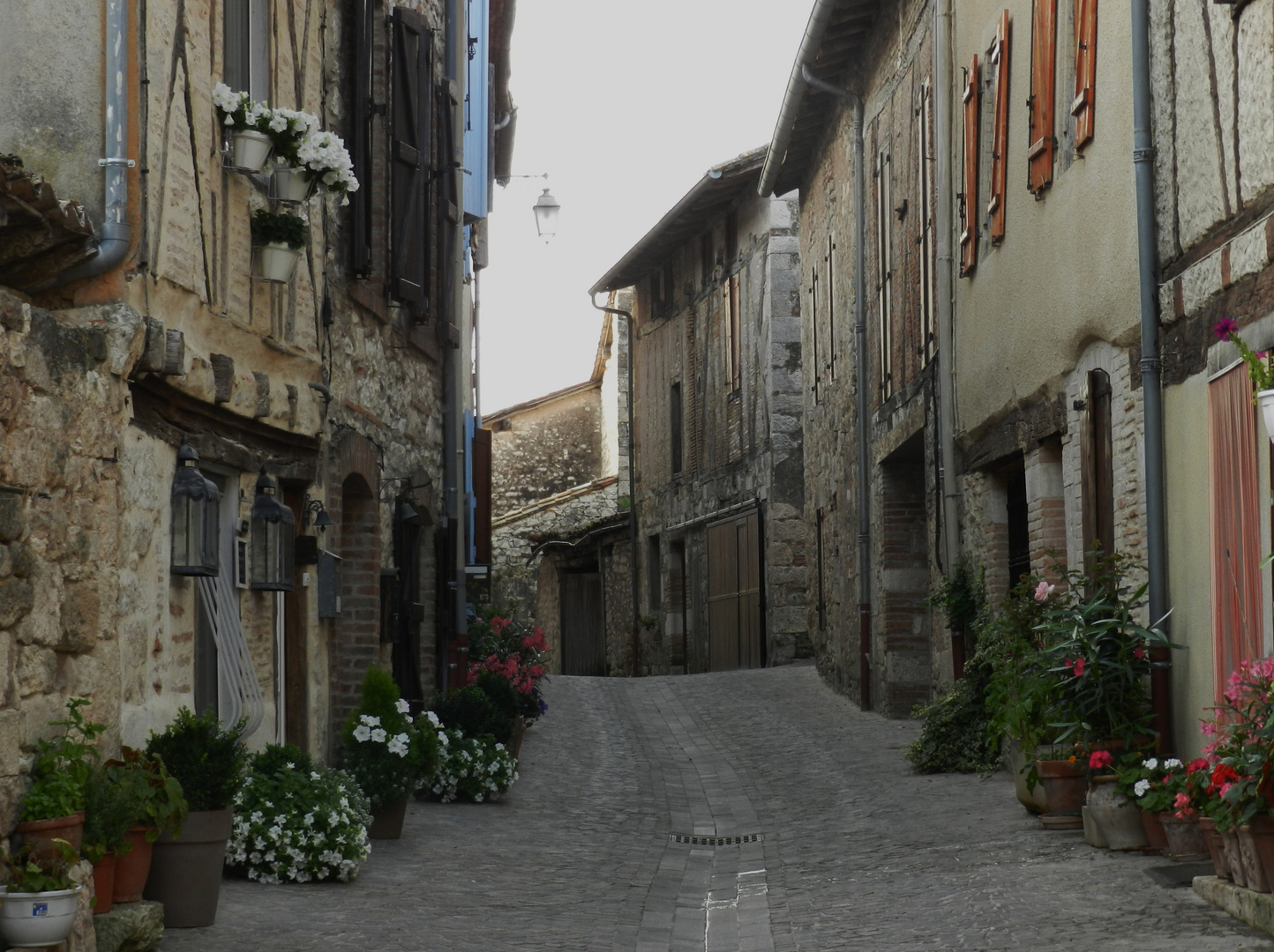 castelnau de Montmiral, un village de France !