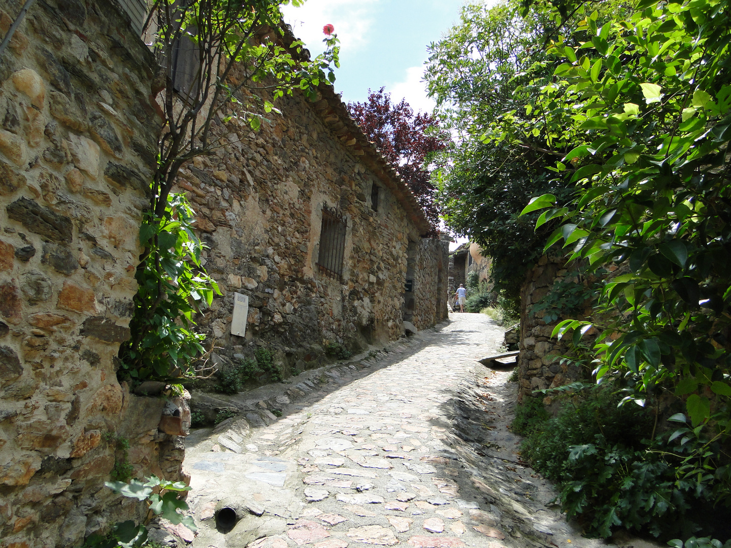 Castelnou