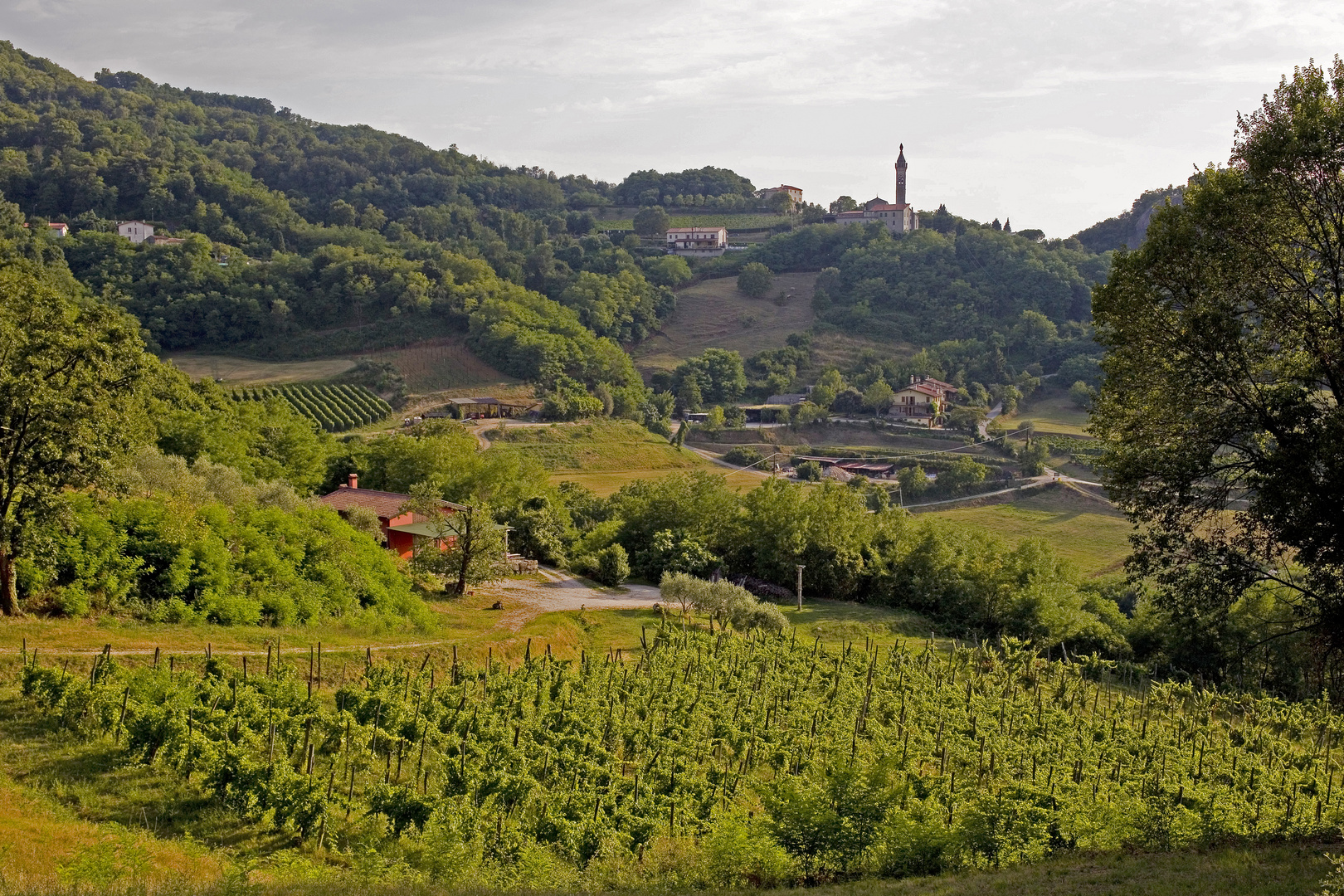 Castelnuovo (Colli Euganei)