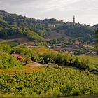 Castelnuovo (Colli Euganei)