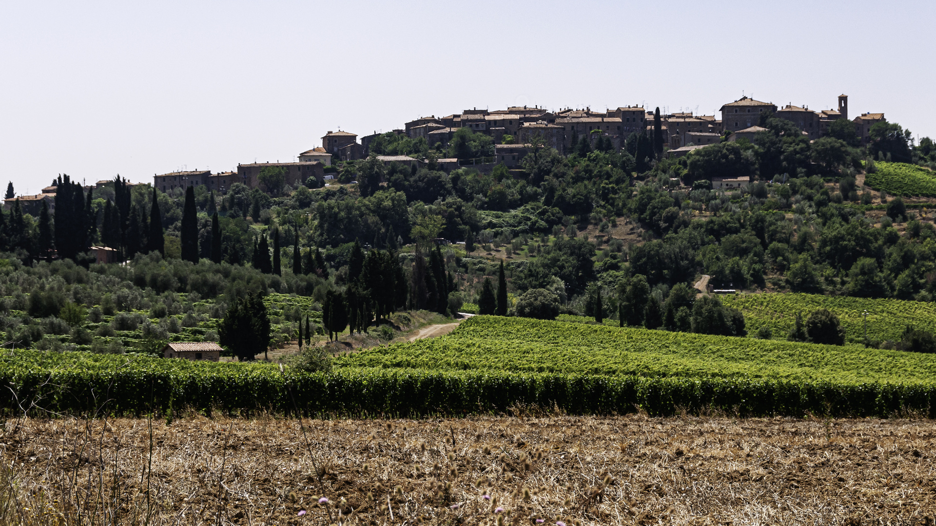 Castelnuovo dell`Abate