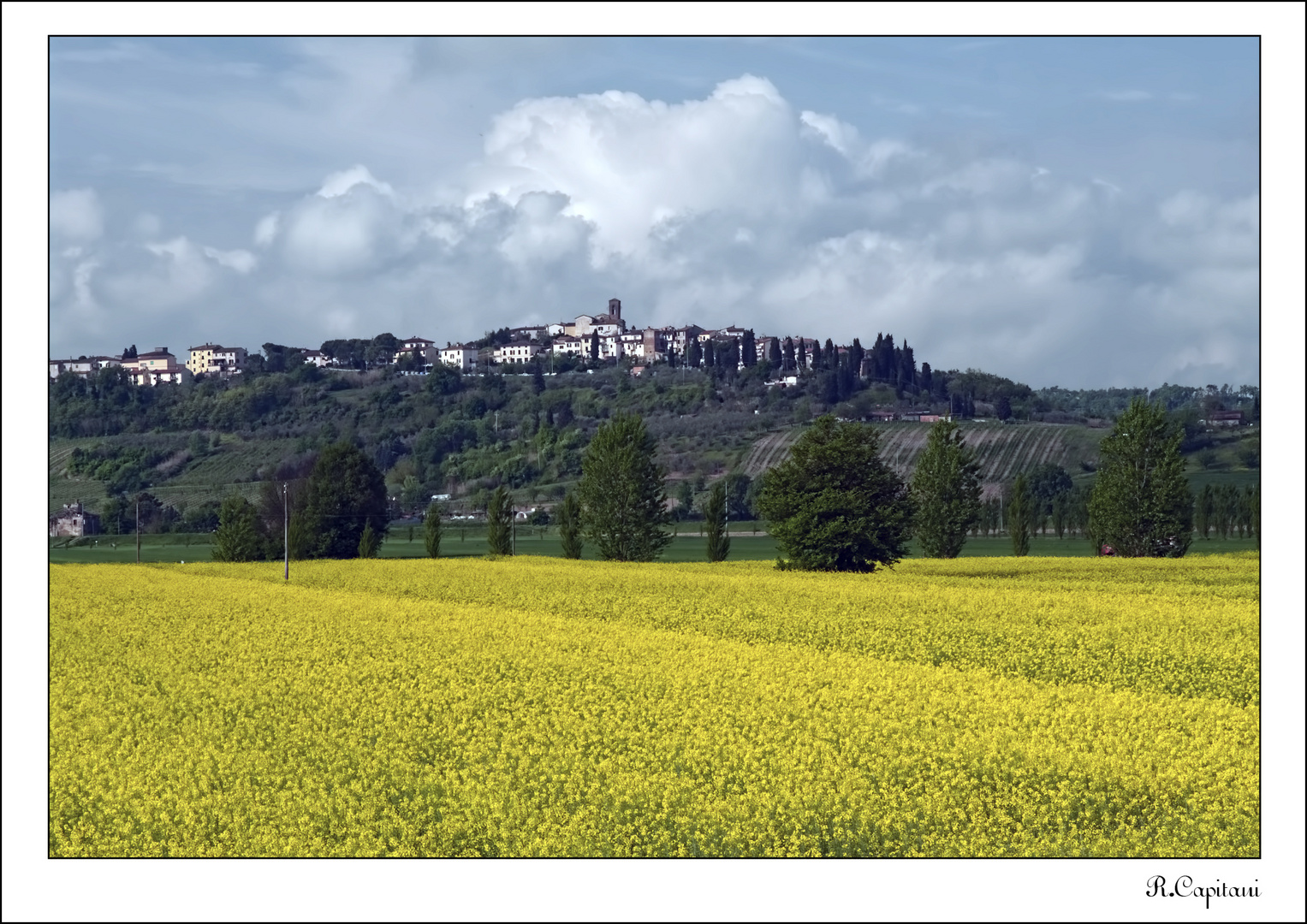 Castelnuovo d'elsa (FI)