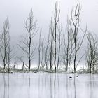 Castelnuovo Lake