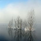 Castelnuovo lake