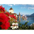 Castelo de Oberhofen - Suiça