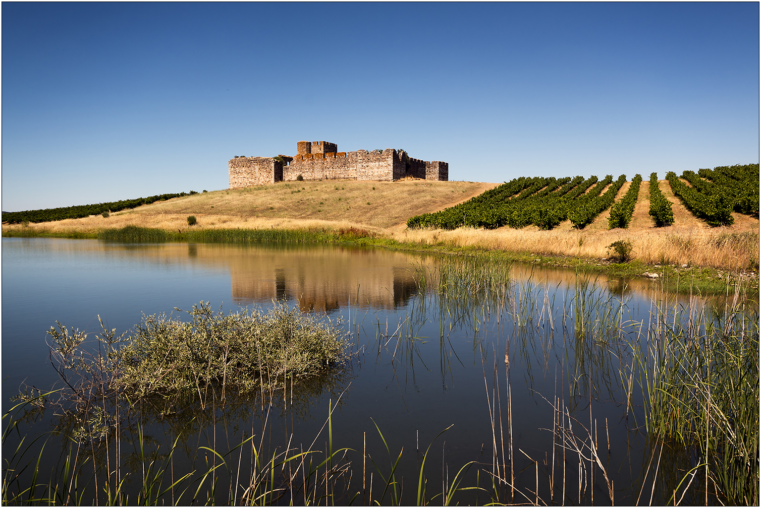 Castelo de Valongo