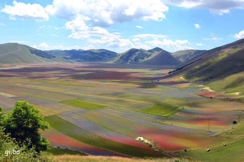 Casteluccio di Norcia - fioritura