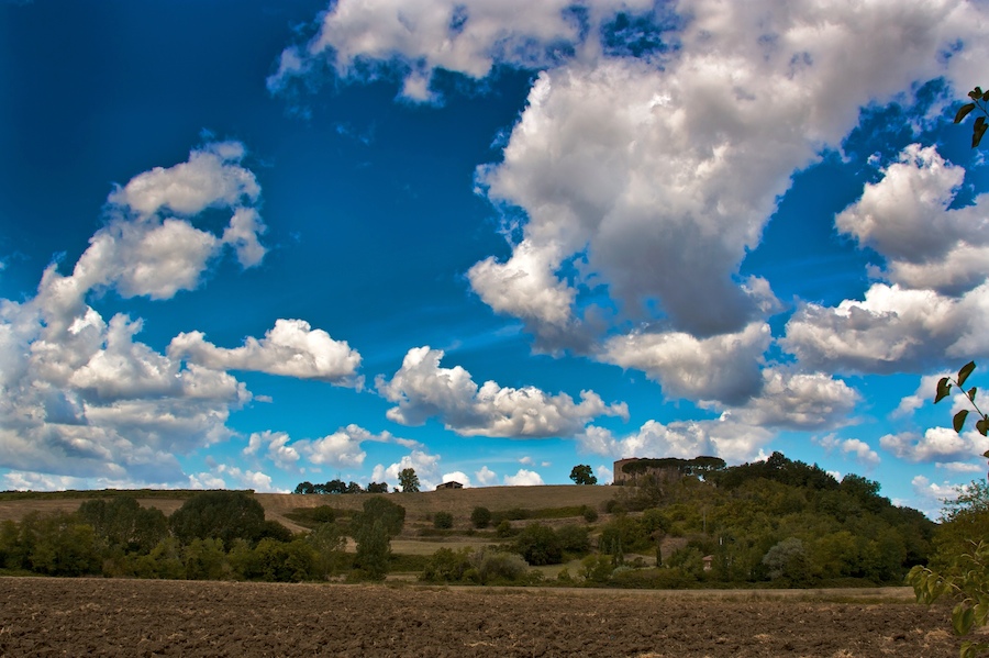 Castiglionalto (Monteriggioni - Siena) Italy