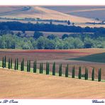 Castiglione  D' Orcia