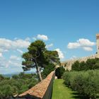 Castiglione del lago