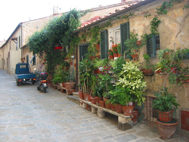 Castiglione della Pescaia (36)