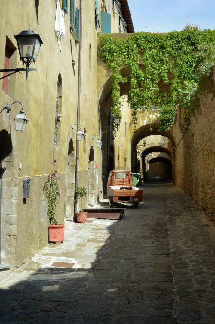 Castiglione della Pescaia Moferauto